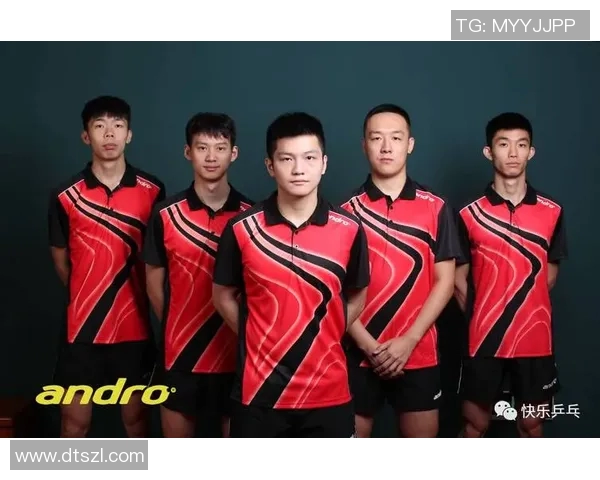 武汉乒乓球队实力深度解析与各队对比分析 武汉乒乓球队实力深度解析与各队对比分析