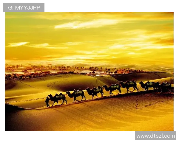 亚当斯的传奇人生与时代背景探讨:从平凡到伟大的转变之路 亚当斯的传奇人生与时代背景探讨:从平凡到伟大的转变之路