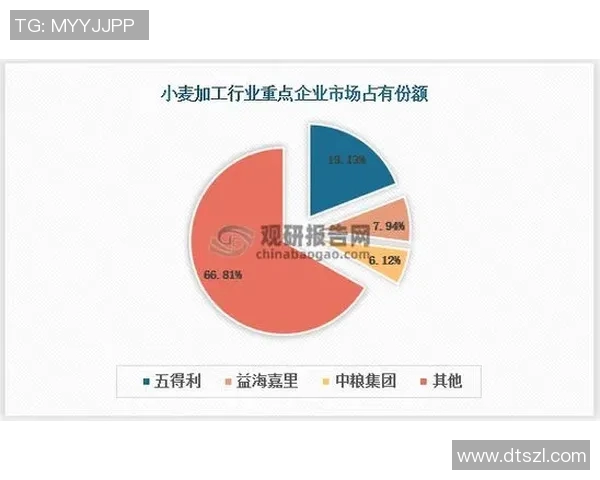 倪永康的政治生涯与影响力分析及其在中国现代史上的重要地位探讨