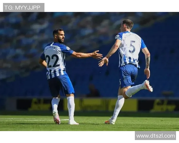 埃弗顿主场迎战西布罗姆维争夺英超宝贵积分的激烈对决